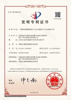 文档图片